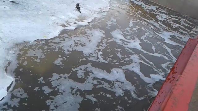 Последние дни зимней рыбалки в Астане.Астане . Река Нура, село Сабынды 2018 смотреть онлайн