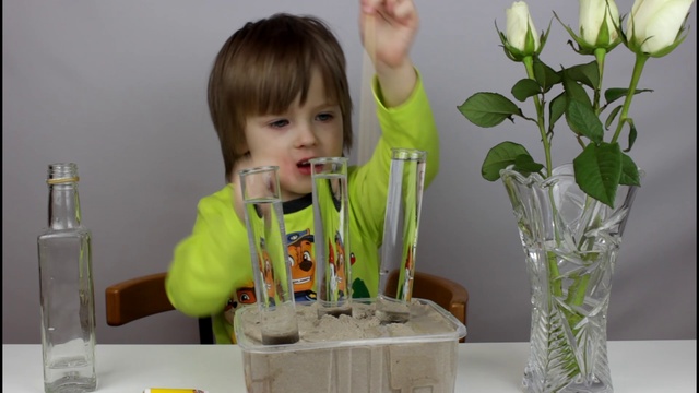 ЭКСПЕРИМЕНТ ДЛЯ ДЕТЕЙ В ДОМАШНИХ УСЛОВИЯХ. Эксперименты с цветами. Эксперименты с водой и красками. смотреть онлайн