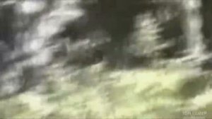 5 САМЫХ ДОСТОВЕРНЫХ ВИДЕО С ЙЕТИ (СНЕЖНЫЙ ЧЕЛОВЕК). Подпишись и поставь лайк!