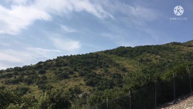 Выпуск 2. Сафари парк . Геленджик. смотреть онлайн