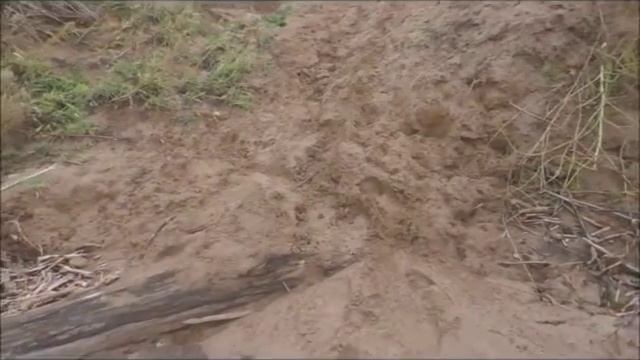 Заготовка речной ракушки смотреть онлайн