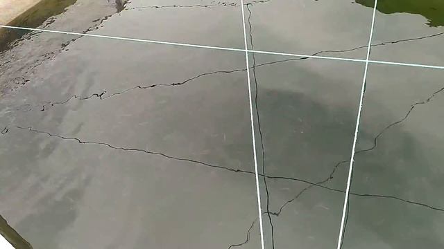 выращивание радужной форели смотреть онлайн