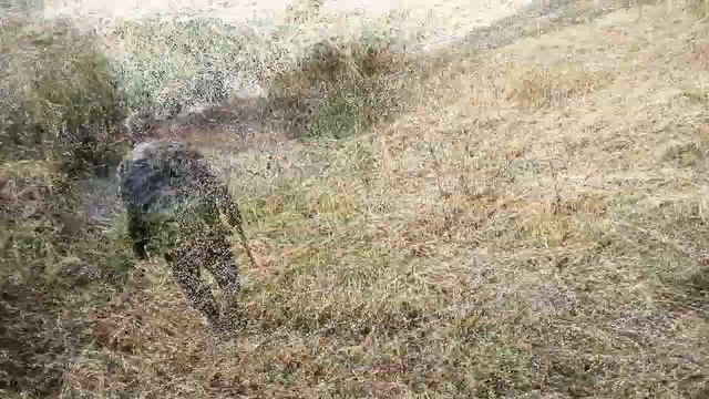 Муж привёз ,где я не была не разу .Как мы ехали на Мотоблоке по опасной дороге смотреть онлайн