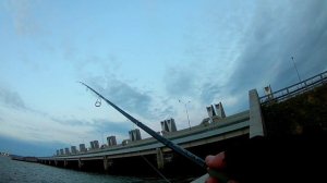 Судак на каждом забросе! Джиг! Ловля с пропускника на дамбе Финского залива!