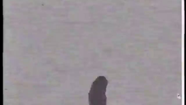 локальное шумоподавление 1997 смотреть онлайн