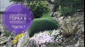 АЛЬПИЙСКАЯ ГОРКА В КОНТЕЙНЕРЕ. Часть 1