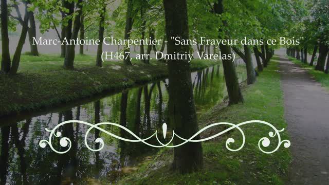 VivaMuse ensemble: Marc-Antoine Charpentier, "Sans Frayeur dans ce Bois", H467, arr. Dmitriy Varelas смотреть онлайн