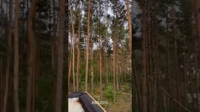 Зашили планкеном большую часть фасада #shorts #лиственница #планкен #деревянныйфасад смотреть онлайн