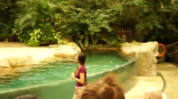 Funny Animal Show in Singapore Zoo.