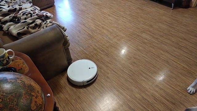 Робот-пылесос Xiaomi Mijia Robot Vacuum Cleaner 1C смотреть онлайн