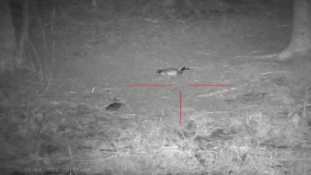 SYTONG HT 60 смотреть онлайн