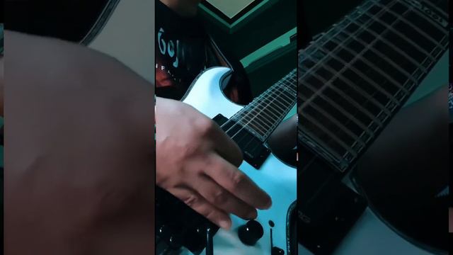 ESP/LTD H1001 Floyd Rose for 5 MINUITES ALONE RIFFS BY PANTERA смотреть онлайн