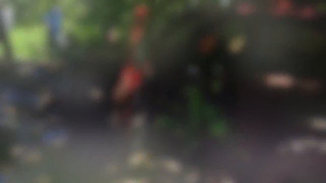 Нива зажигает на Морье 22.05.2016 смотреть онлайн