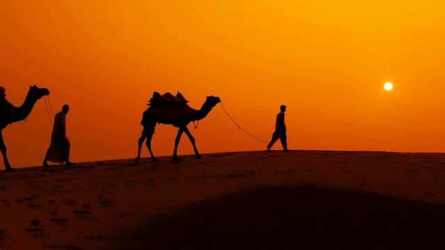 10 Гибридов Животных, Которых Вы Должны Увидеть смотреть онлайн