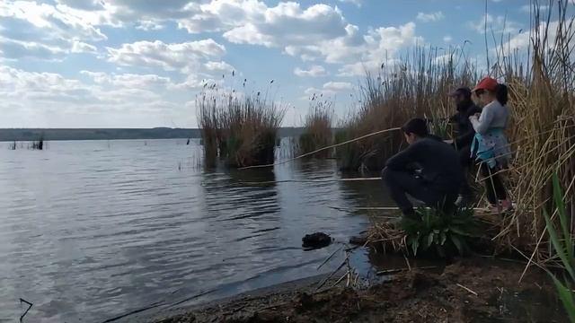 РЫБАЛКА НА УДОЧКУ / ЛОВИМ С БЕРЕГА смотреть онлайн