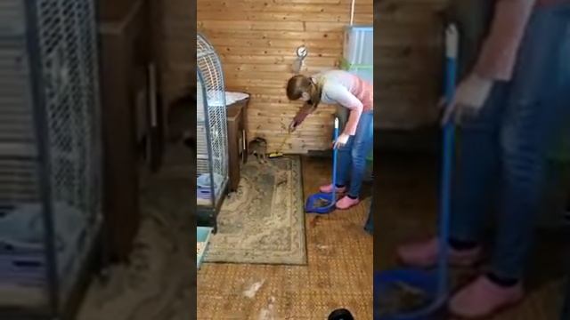 Несквик воруют! НЕЛЮДИ! Заяц Заря выступает против несправедливости!