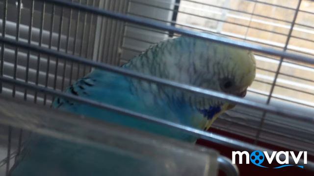 Такое начало будет смотреть онлайн