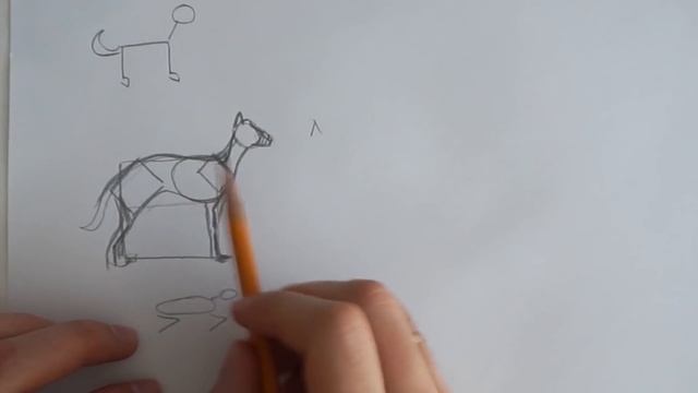 Задание 0 - Как нарисовать любое животное? смотреть онлайн