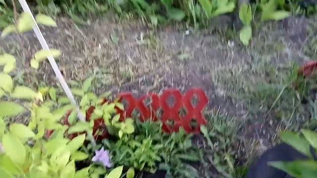 Теплый вечер на даче 5 июня смотреть онлайн