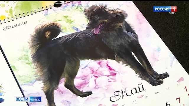 Омский приют выпустил собственный календарь с изображениями собак, оставшихся без крова смотреть онлайн