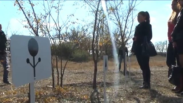 Студенты показали мастер-класс по стрижке деревьев смотреть онлайн