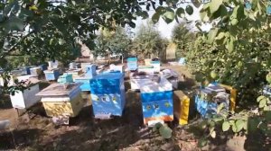 Пеноулик и миниплюс:  минусы и плюсы за год эксплуатации, отзыв