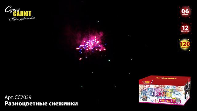 СС7039_2024 смотреть онлайн
