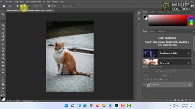 How to Use Lasso Tool in Photoshop 2023 (Quick & Easy) смотреть онлайн