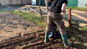 Картофелесажалка и мотоблок МТЗ Беларус