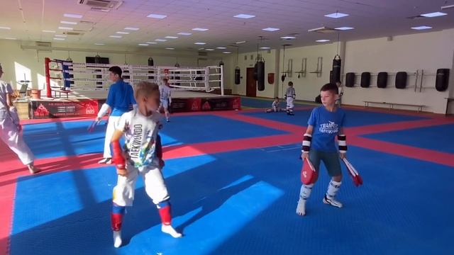 Taekwondo Summer Camp -1. смотреть онлайн