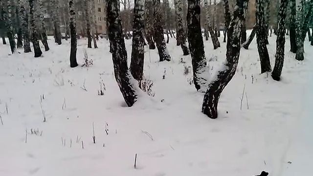 Собака убирает снег смотреть онлайн
