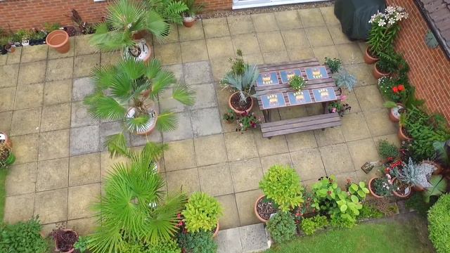 Jack's Patio - July 2016 | Jack Shilley смотреть онлайн