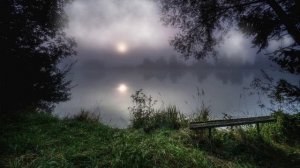 Рекомендуем, Проверено! Звуки Сверчков и Лягушек на Ночном Пруду для Глубокого и Здорового Сна