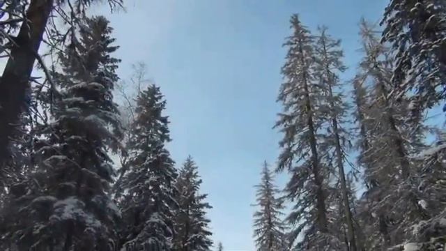 СНЕЖНАЯ СКАЗКА АМУТА3 смотреть онлайн