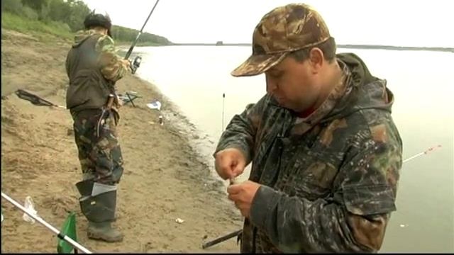 Эволюция донки смотреть онлайн