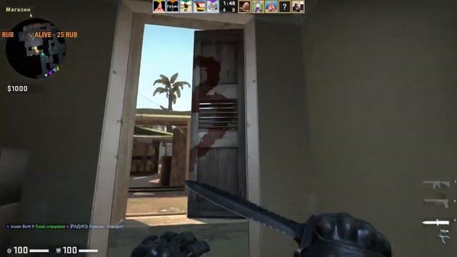Хищный Енот CS:GO смотреть онлайн