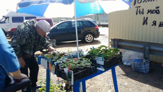 Новозавидовский колхозный рынок смотреть онлайн
