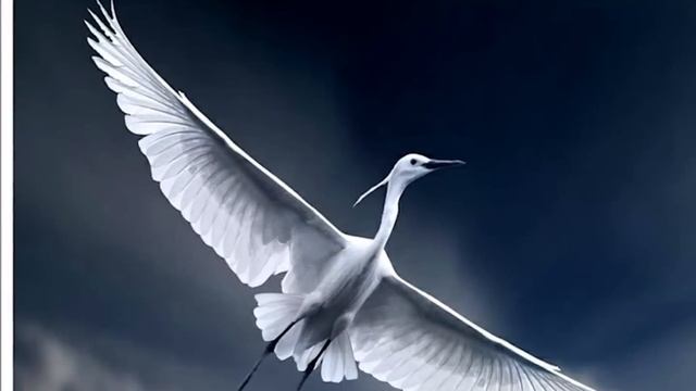 Плакала рябина смотреть онлайн