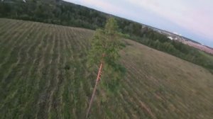 Первые кадры на O3 модуле ( со стабилизацией)