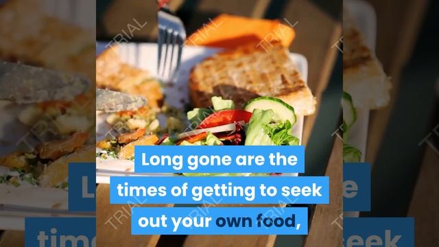 Navigating The Paleo Diet Book Part 1