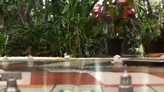 Throw an Obamanomics-Opoly Party for a Tax Day Celebration смотреть онлайн