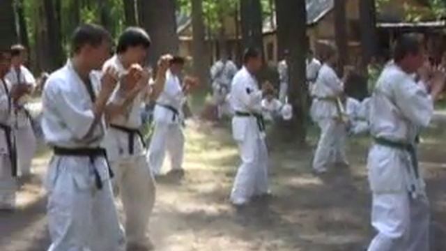 Ашихара-каратэ. Летний лагерь. Воронеж 2010 смотреть онлайн