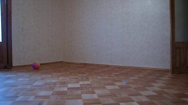 Сосковый футболист Алекс смотреть онлайн