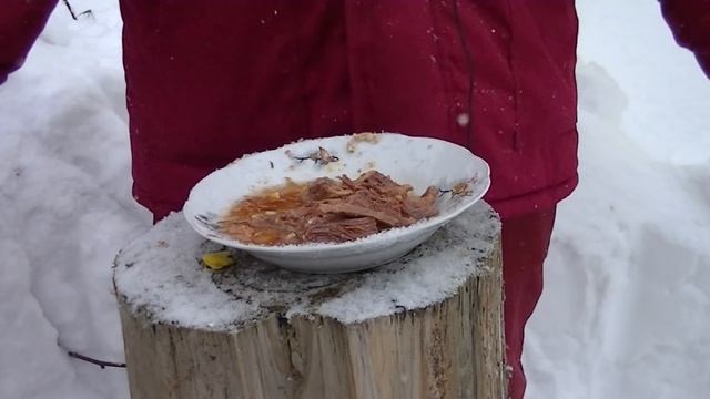 Тушёнка. ООО. ПК. "РУСЬ" Говядина тушеная высший сорт! "preppers" смотреть онлайн