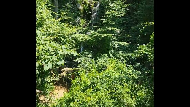 Национальный парк Шенандоа. Часть вторая: водопады смотреть онлайн