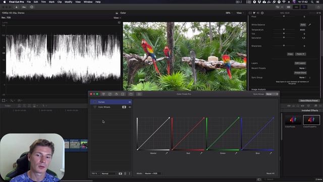 Плагин Color Finale 2.1. Трекинг масок, калибровка по Xrite ColorChecker. Цветокоррекция. Часть 3. смотреть онлайн