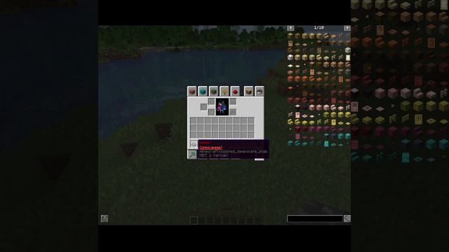 Как сделать описание предмета в майнкрафте смотреть онлайн