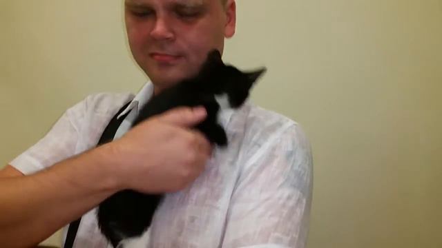 Чудо случилось Маша в добрых руках 24 08 17 с 7 смотреть онлайн