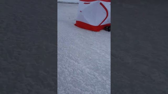 Медведь куб 3,4 в ветер 30м/с Рыбалка В Штурмовой ветер 30м/с ВКО Каменка смотреть онлайн