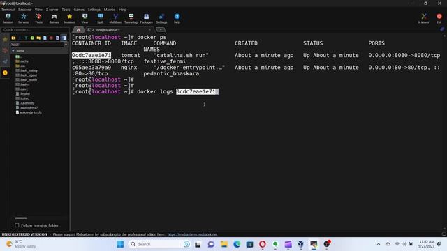 Managing Containers with Docker CLI смотреть онлайн